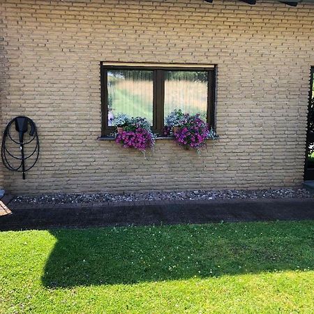 Ferienwohnung Brigitta Altenbeken Exterior photo
